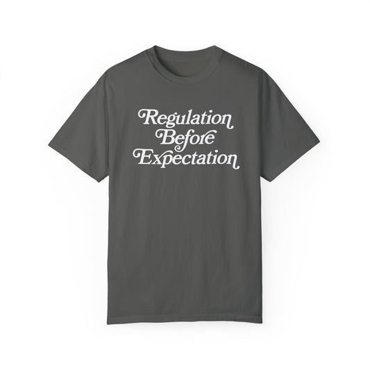 Regulation Before Expectation Comfort Colors T-Shirt