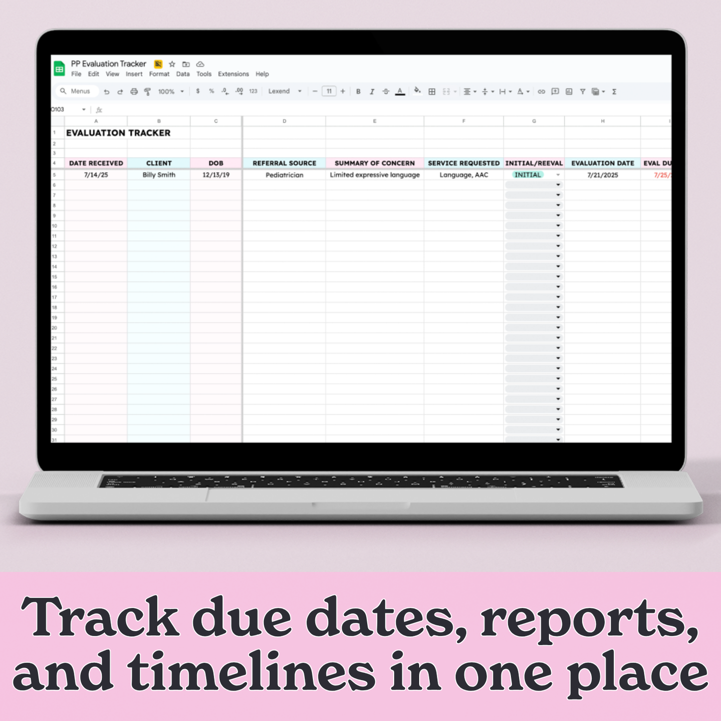 Private Practice Evaluation Tracker – Google Sheet