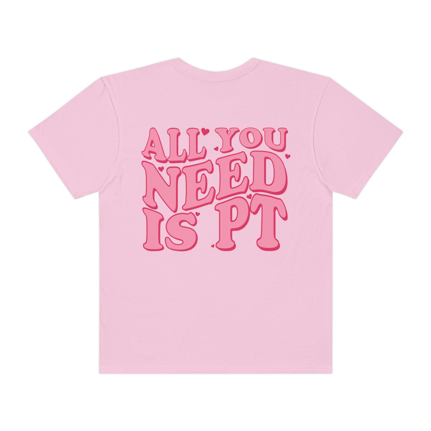 All You Need Is PT Comfort Colors T-Shirt