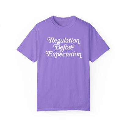 Regulation Before Expectation Comfort Colors T-Shirt