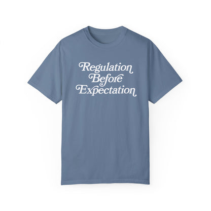 Regulation Before Expectation Comfort Colors T-Shirt