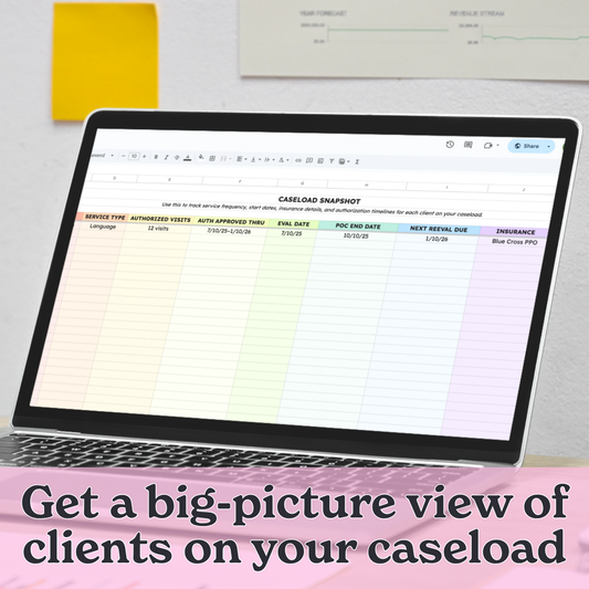Private Practice Caseload Snapshot – Google Sheet