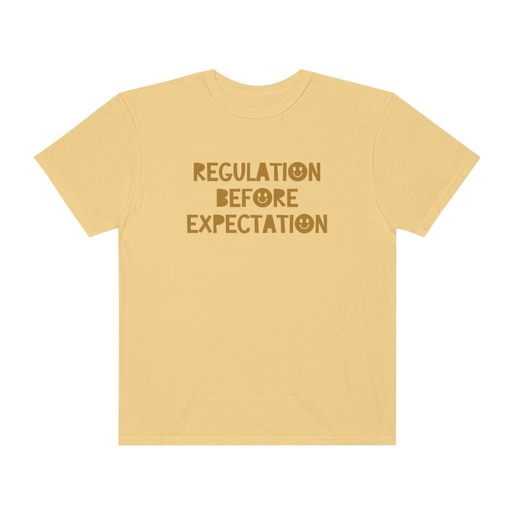 Regulation Before Expectation Tonal Comfort Colors T-Shirt